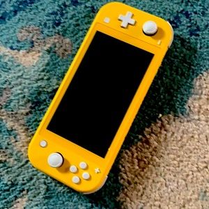 Nintendo switch lite